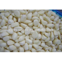 Chinese A IQF frozen natural garlic price